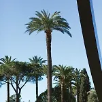 Angle Droit- Loft Et Atypique, Climatisation, Vieux-nice * ニース